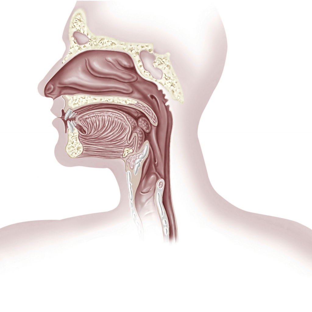 throat cancer